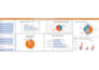 clean and format your data for you